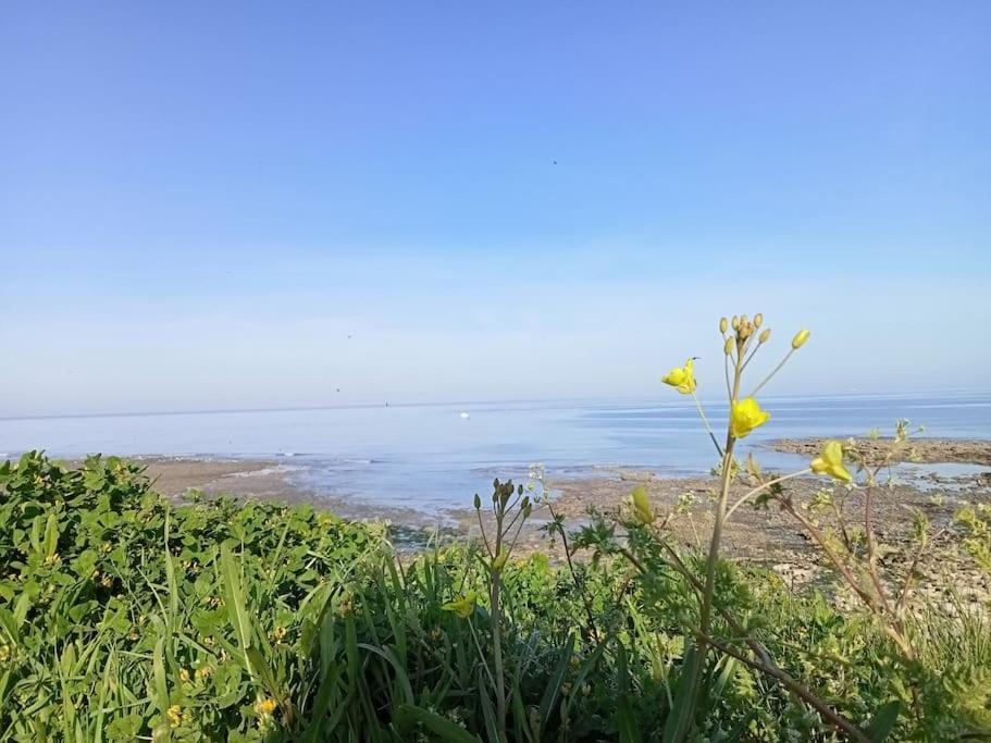 Vila Soleil D'Opale Et Son Grand Jardin Wimereux Exteriér fotografie